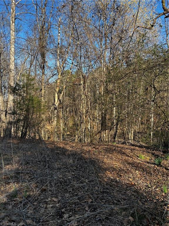 4624 Old Hopewell Church Road Trinity, NC 27370 - Photo 20 of 28