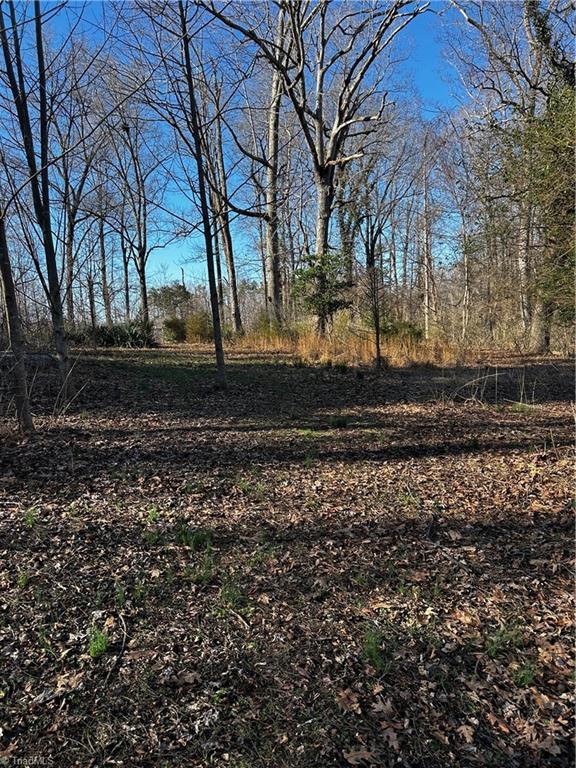 4624 Old Hopewell Church Road Trinity, NC 27370 - Photo 21 of 28