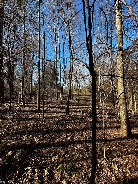 4624 Old Hopewell Church Road Trinity, NC 27370 - Photo 22 of 28