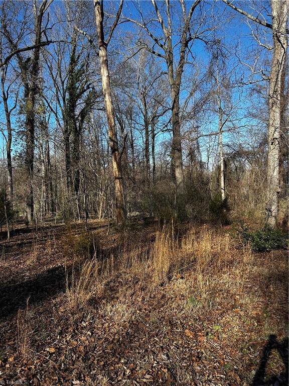 4624 Old Hopewell Church Road Trinity, NC 27370 - Photo 23 of 28