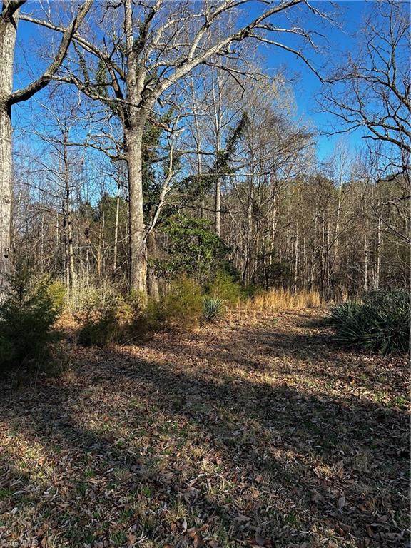 4624 Old Hopewell Church Road Trinity, NC 27370 - Photo 24 of 28