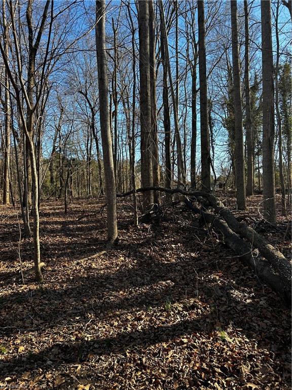 4624 Old Hopewell Church Road Trinity, NC 27370 - Photo 25 of 28