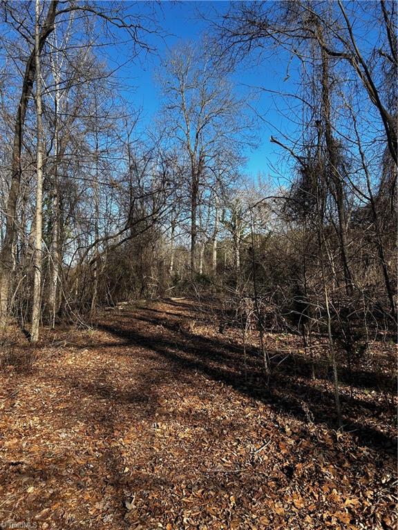 4624 Old Hopewell Church Road Trinity, NC 27370 - Photo 26 of 28