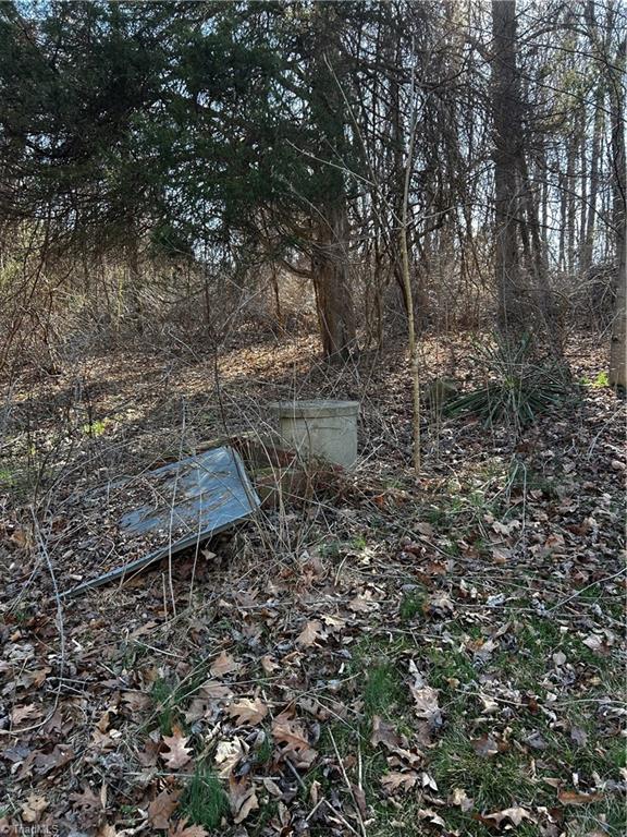 4624 Old Hopewell Church Road Trinity, NC 27370 - Photo 27 of 28