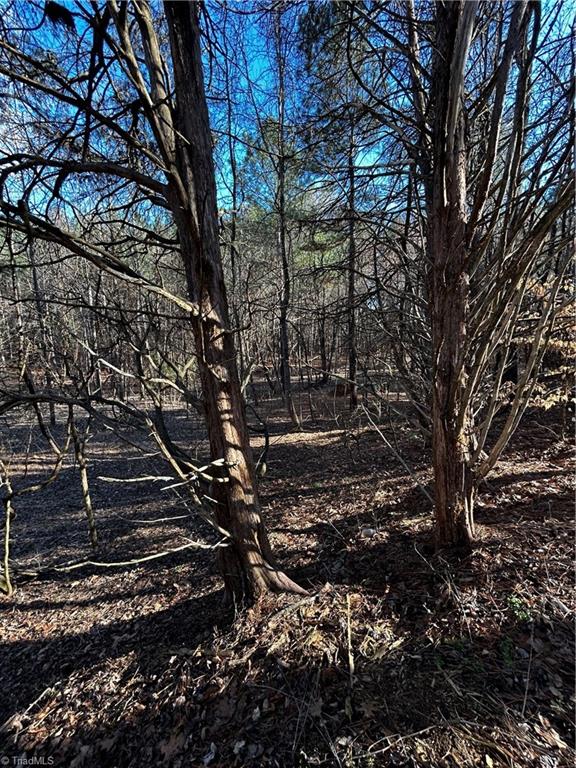 4624 Old Hopewell Church Road Trinity, NC 27370 - Photo 9 of 28