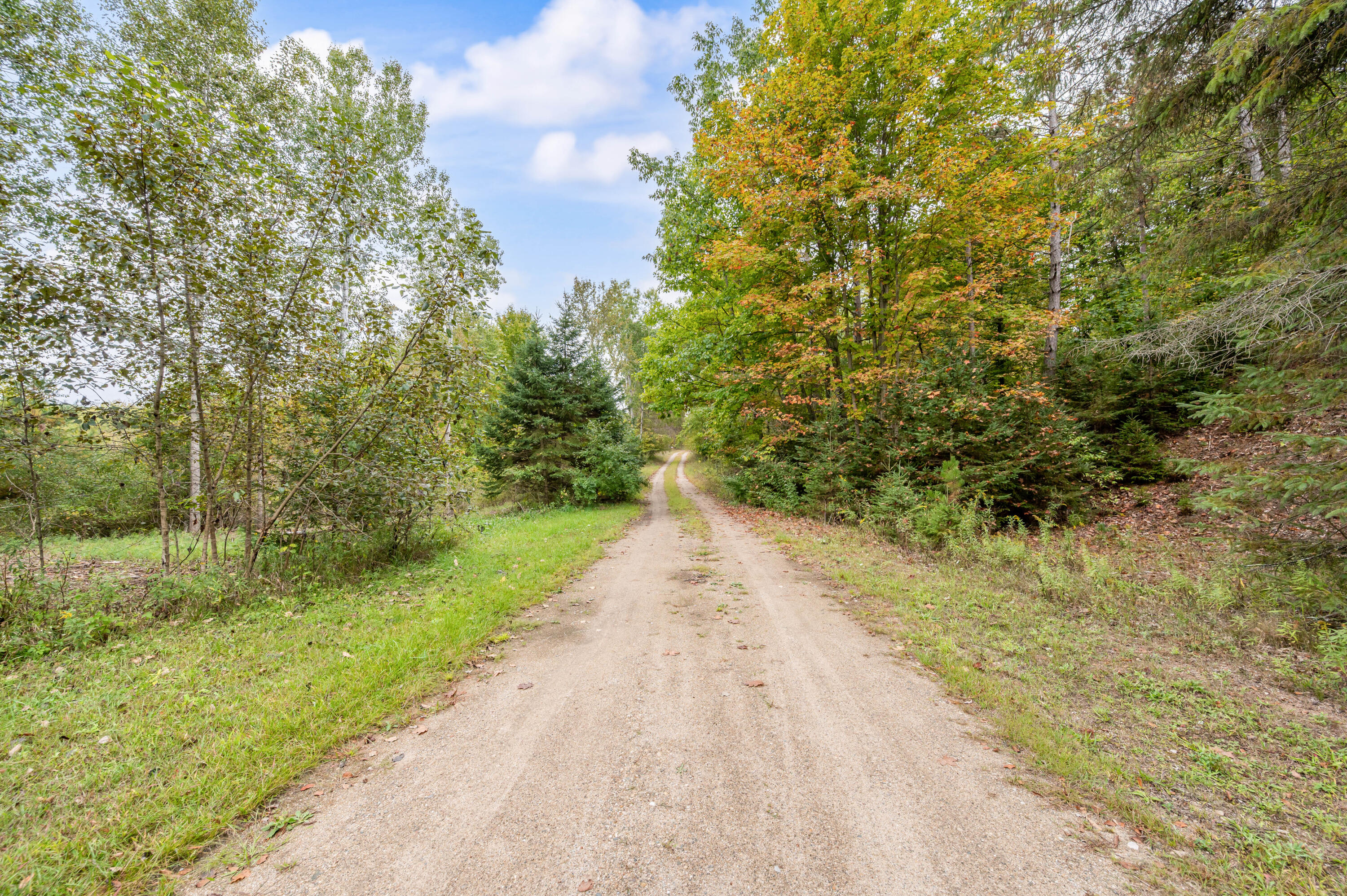 19802 Davison Road Paris, MI 49338 - Photo 45 of 60 19802-NDavisonRd-BR-47