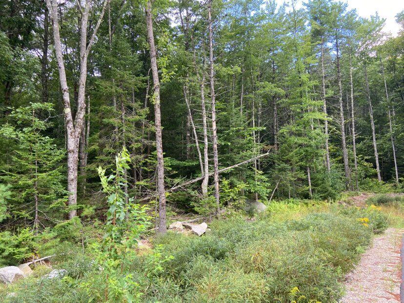 0 Baker Rd Wells Wells, ME 04090 - Photo 5 of 9 Pic 5