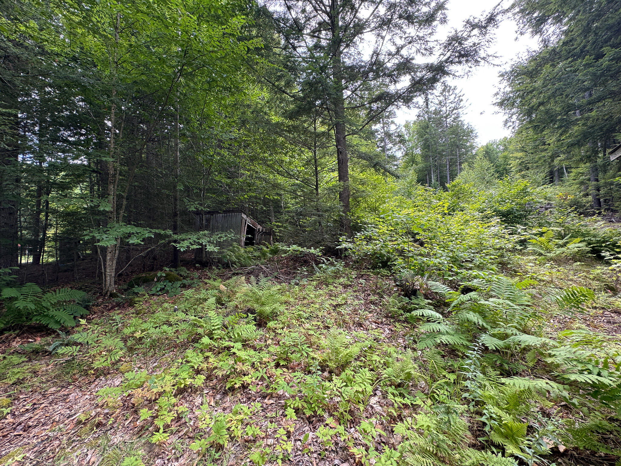 7 Hammie Road Mattawamkeag, ME 04459 - Photo 14 of 15 14