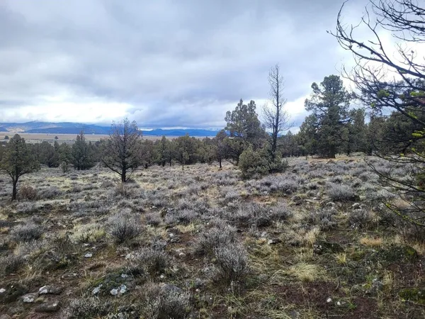 $5,500 | Unit 2-lot 592 Lazo Lane, Dorris, CA 96023