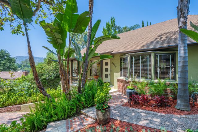 a view of a garden with a plants