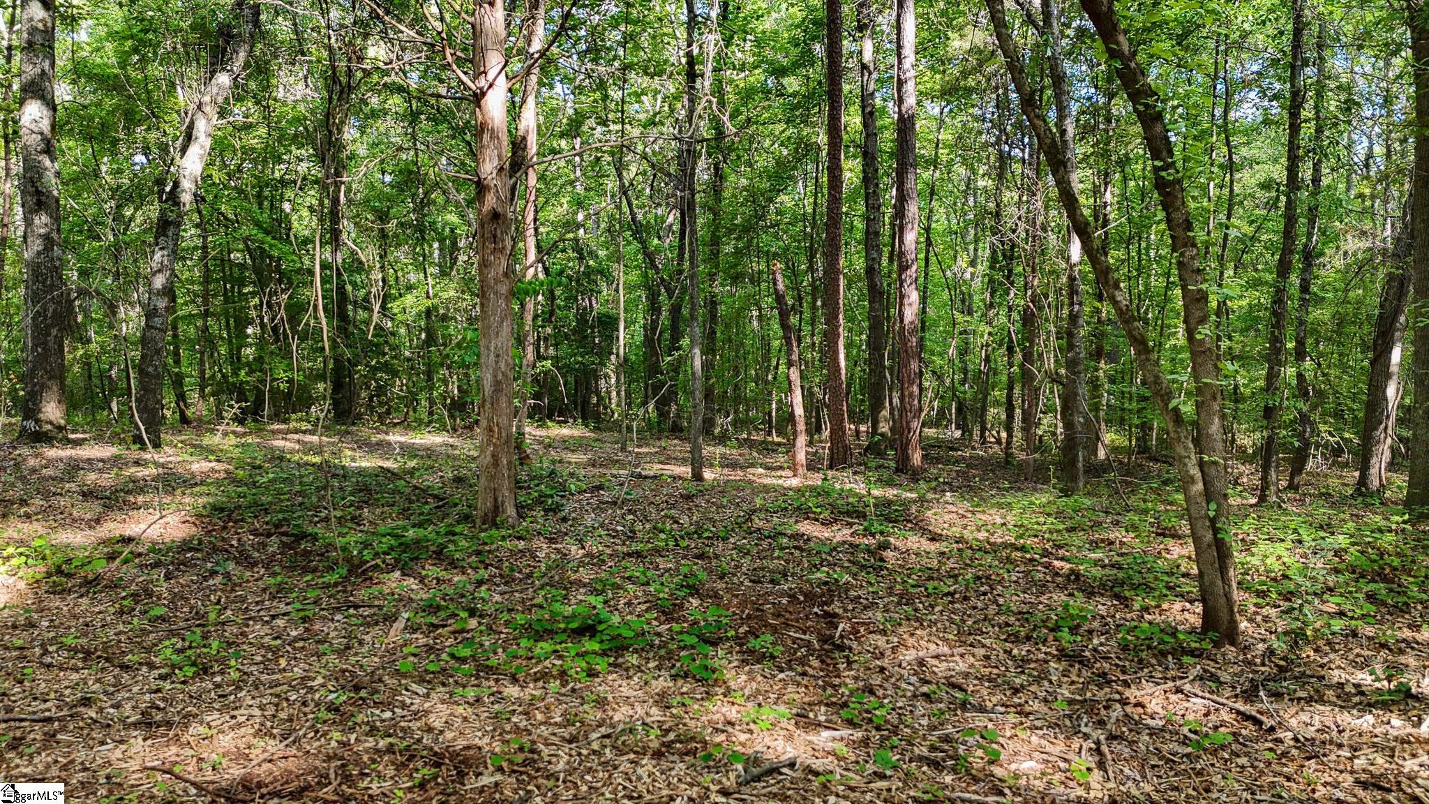 6 Guest Circle Anderson, SC 29621 - Photo 4 of 22