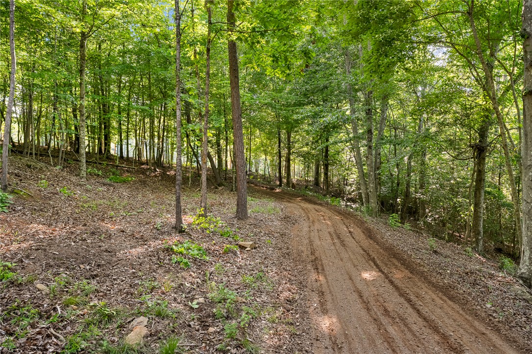 75 Hidden Acres Trail Pelzer, SC 29669 - Photo 10 of 32