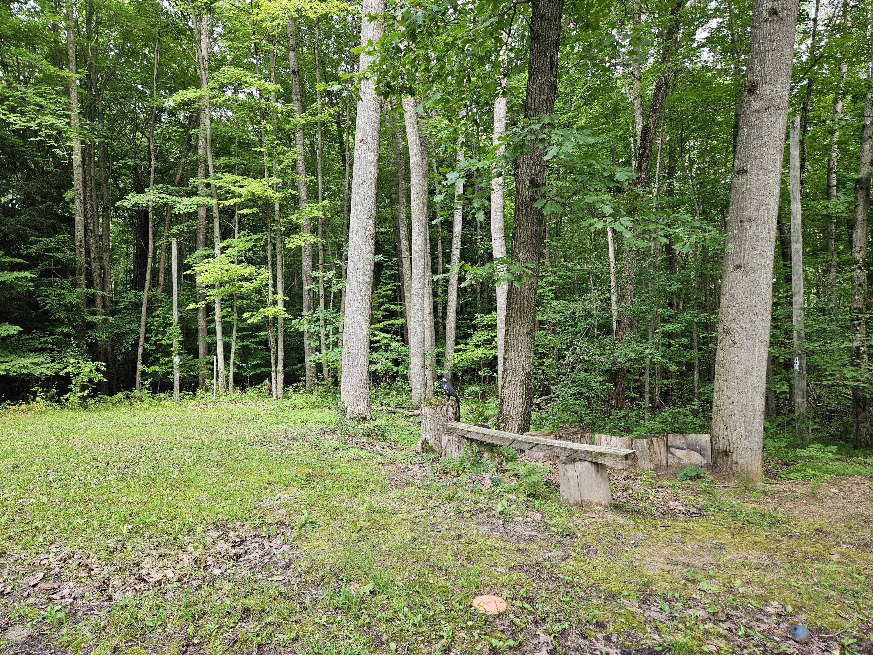 9570 5 Mile Road Hesperia, MI 49421 - Photo 10 of 36 20240818_170413