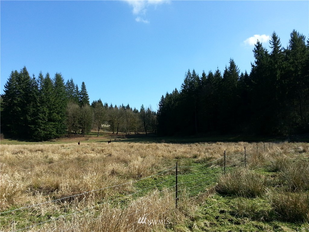 11619 Trombley Road Snohomish, WA 98290 - Photo 2 of 3
