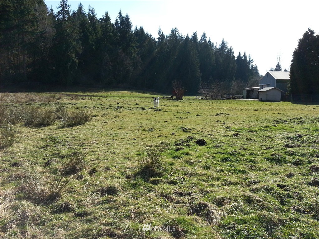 11619 Trombley Road Snohomish, WA 98290 - Photo 3 of 3