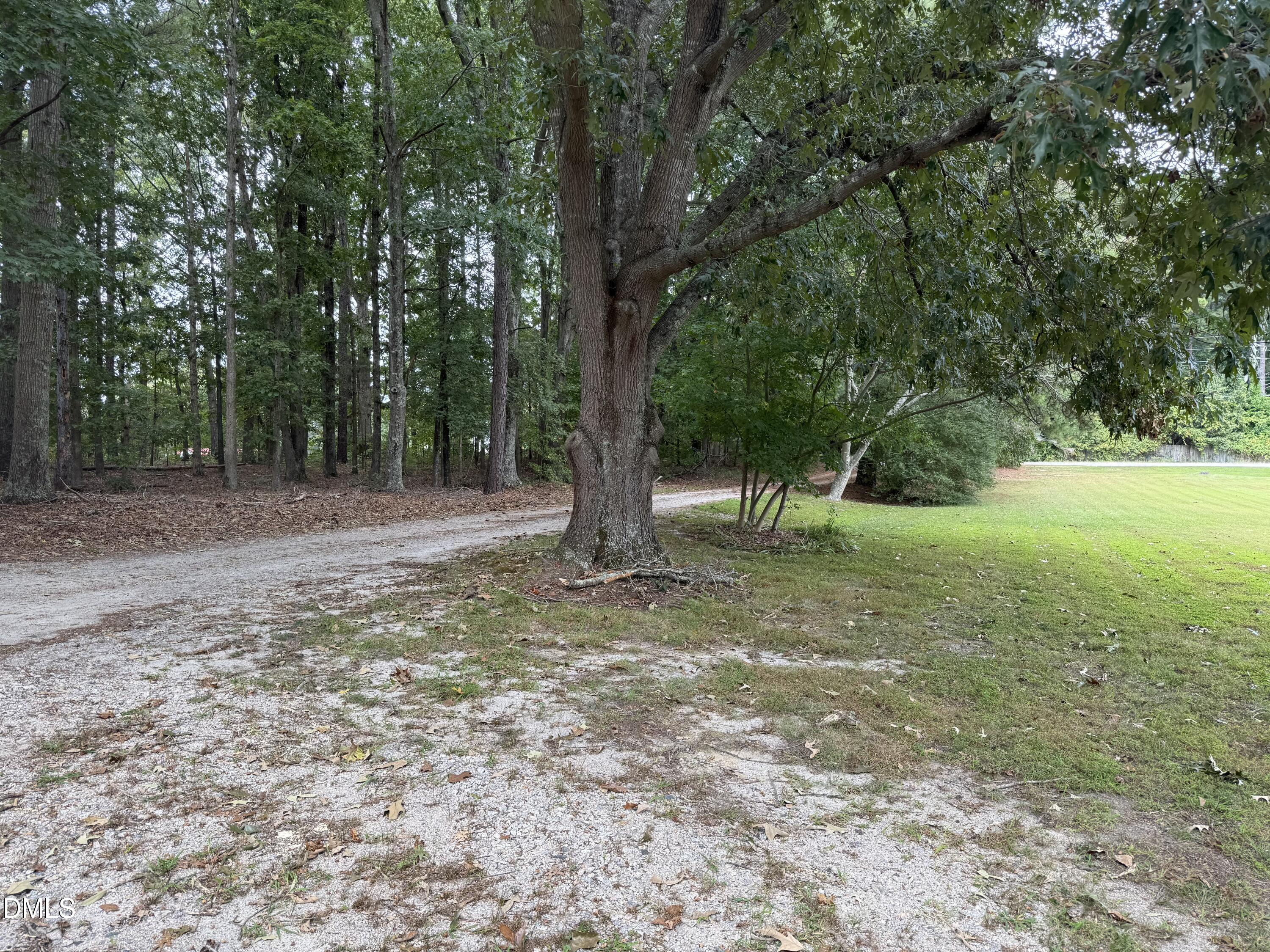 2005 Flat Rock Church Road Youngsville, NC 27596 - Photo 18 of 21 a view of outdoor space with trees