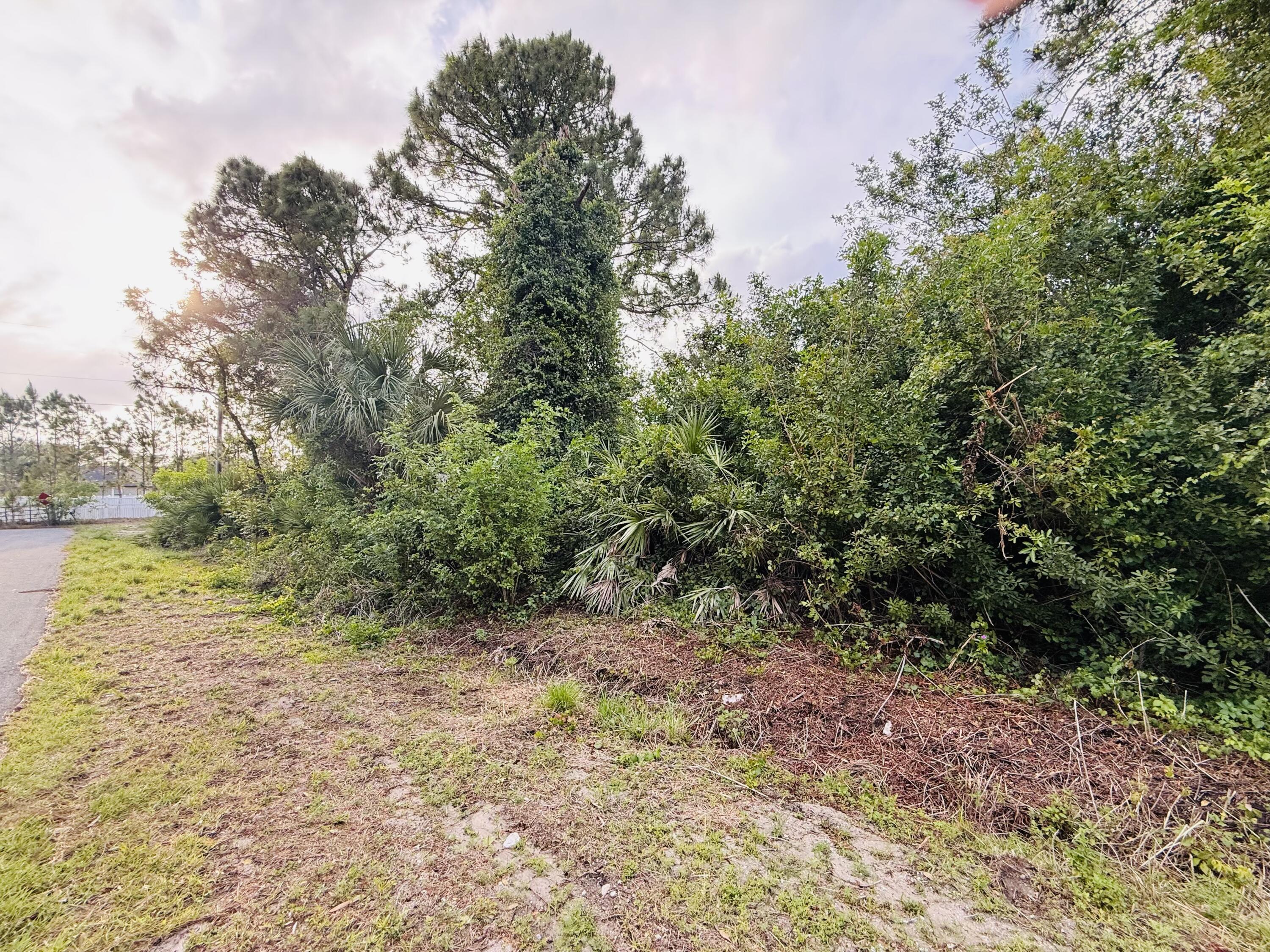 0 Thames Road Southeast Palm Bay, FL 32909 - Photo 5 of 9 IMG_3561