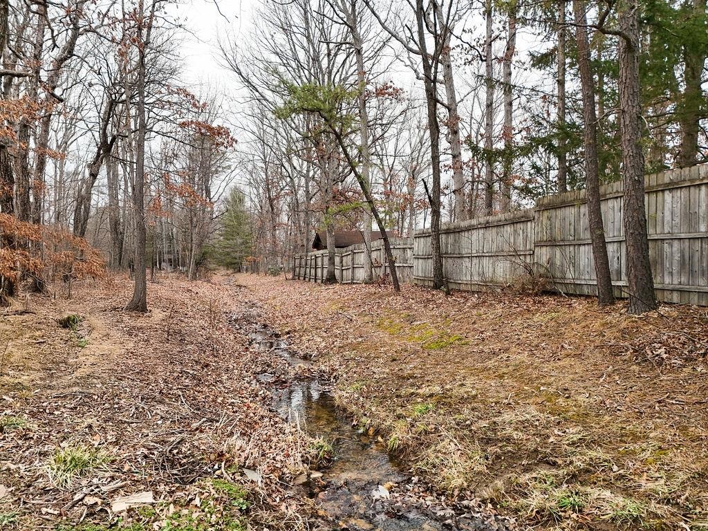 198 Forest Springs Drive Stuarts Draft, VA 24477 - Photo 32 of 43