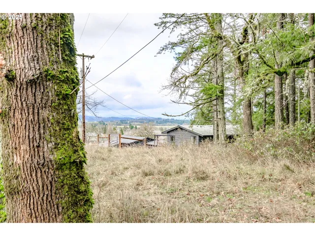a view of a yard with plants and trees