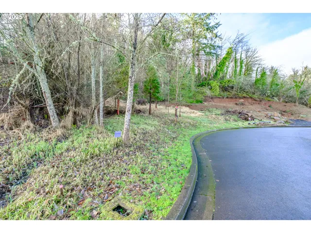 a view of a dry yard with trees in the background
