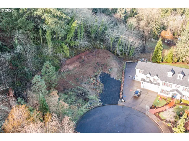 a view of a forest with a yard