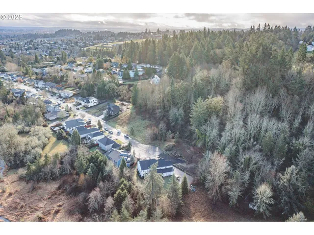 a view of yard with green space