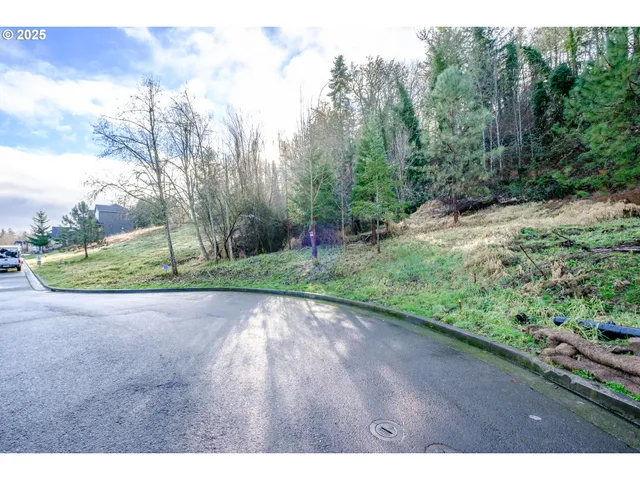a view of a yard with plants