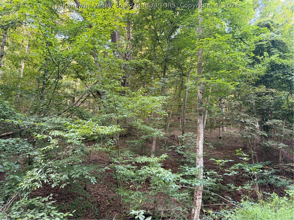 0 Dairy Road Poca, WV 25159 - Photo 18 of 23 Gallery Image 18