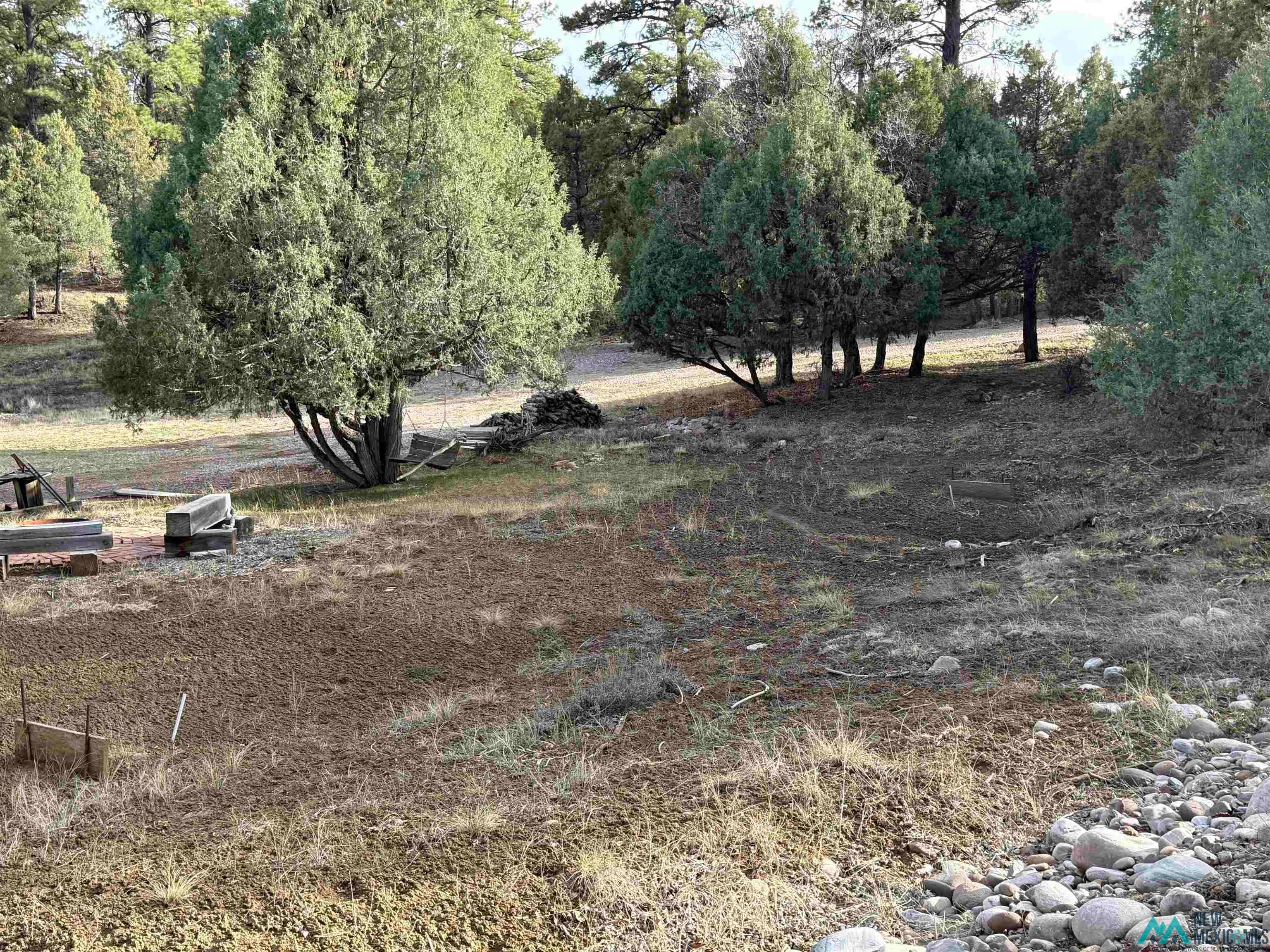 64 Pd 1783c Road Chama, NM 87520 - Photo 5 of 19 View of nature