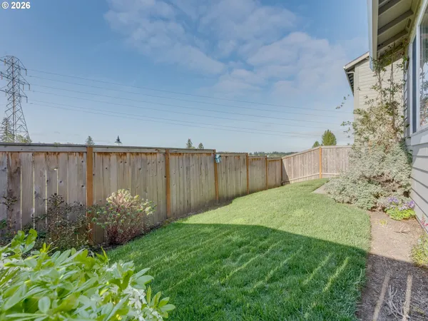 a view of backyard of house