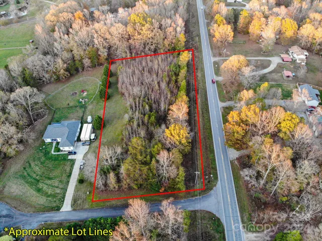 a view of a yard with flowers