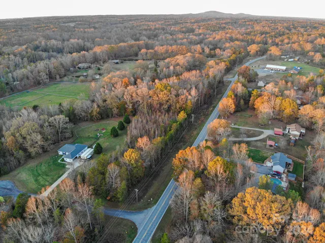 a view of a yard with plants