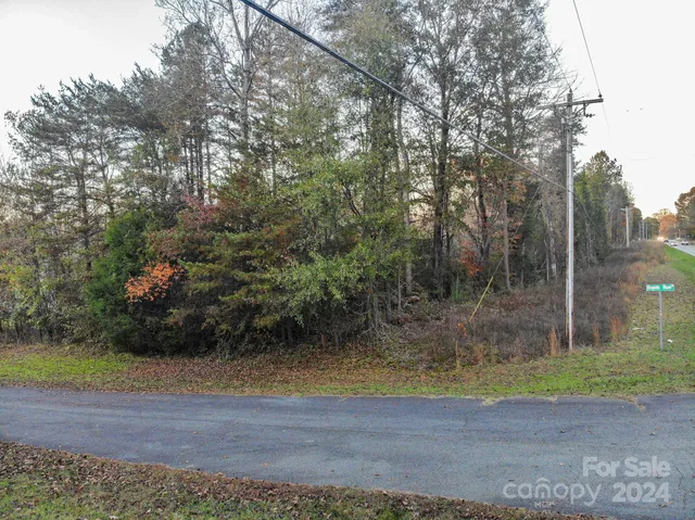 a view of a forest with trees in the background