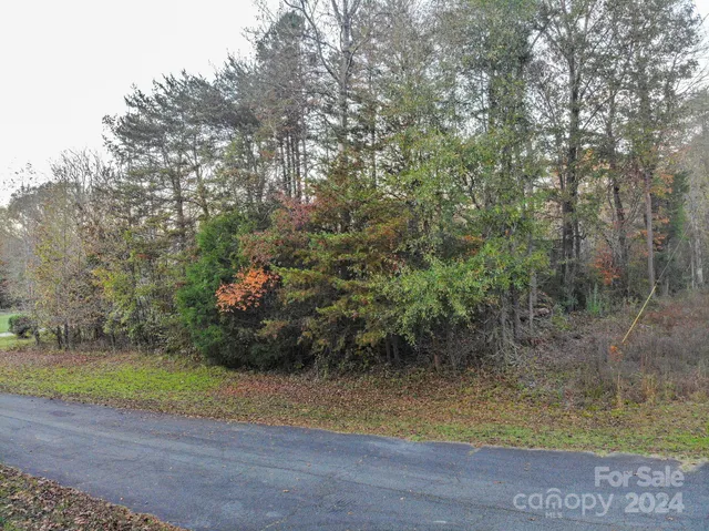 a view of a forest with a mountain in the background