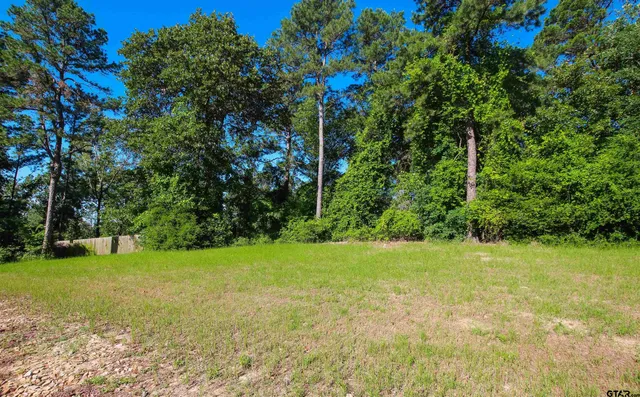 a view of outdoor space and tree
