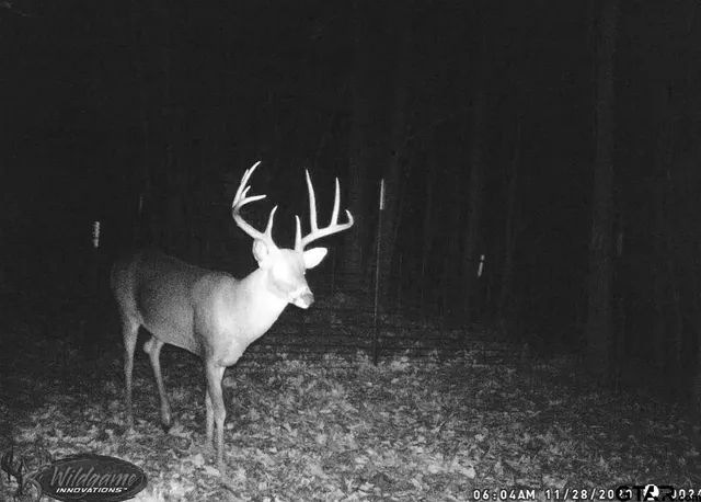 a house view with a tree in the background