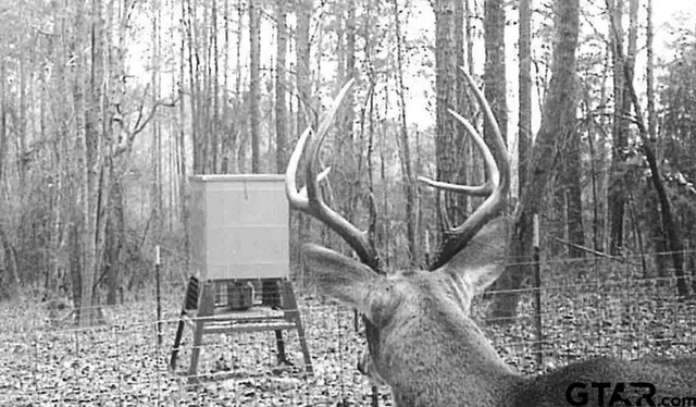 $575,000 | 5000 Farm To Market 315, Chandler, TX 75758