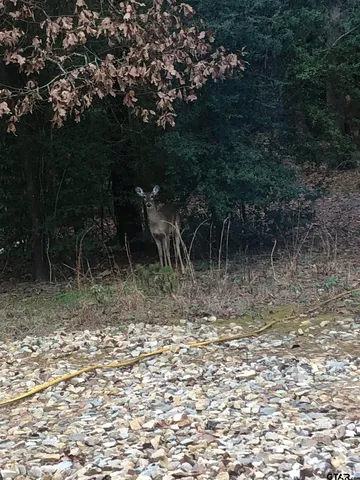 $575,000 | 5000 Farm To Market 315, Chandler, TX 75758