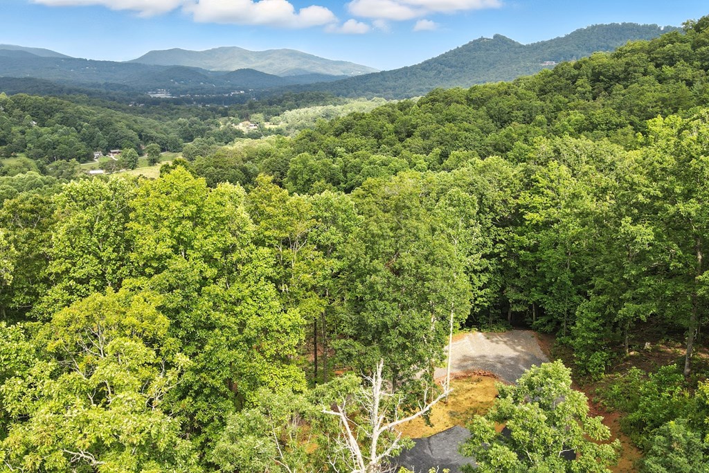 2373 Rainbow Ridge Road Hiawassee, GA 30546 - Photo 39 of 41 Gallery Image 39