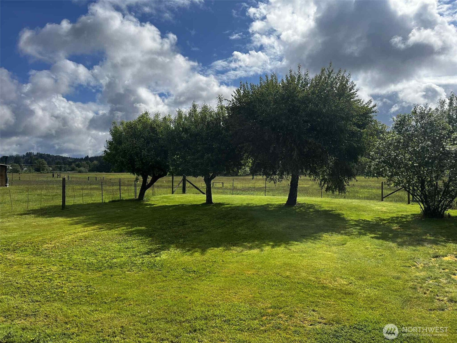 1655 Wheaton Street Raymond, WA 98577 - Photo 23 of 27