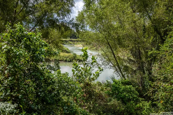 a view of a lake in middle of forest