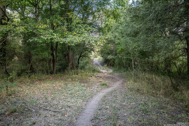 a view of backyard with green space