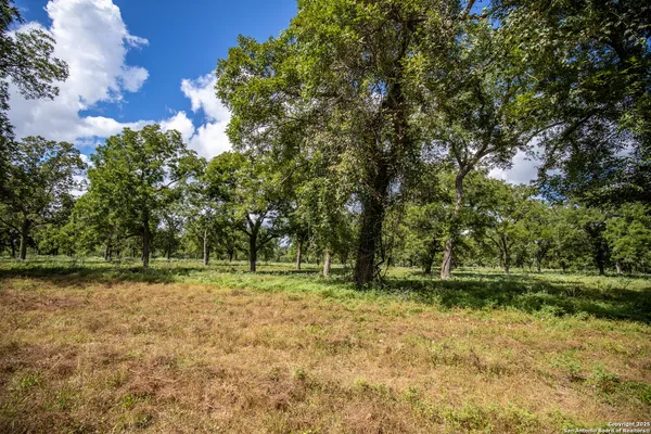 a big yard with lots of green space and trees