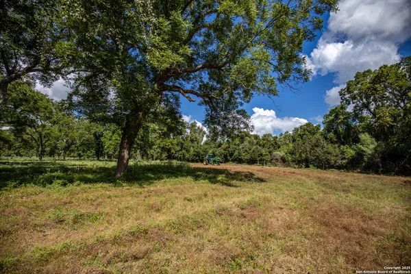 a view of outdoor space with trees all around