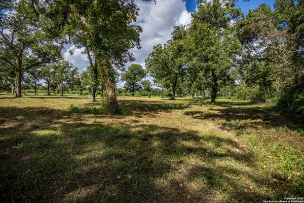 a big yard with lots of green space and deers