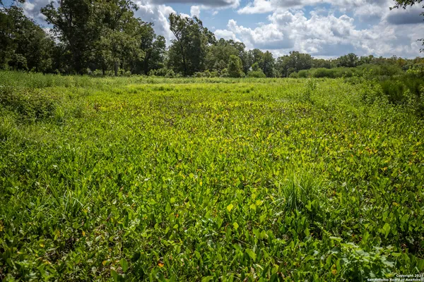 a view of lake with green space