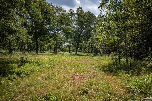 a view of a green field