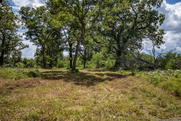 a view of a field of grass and trees