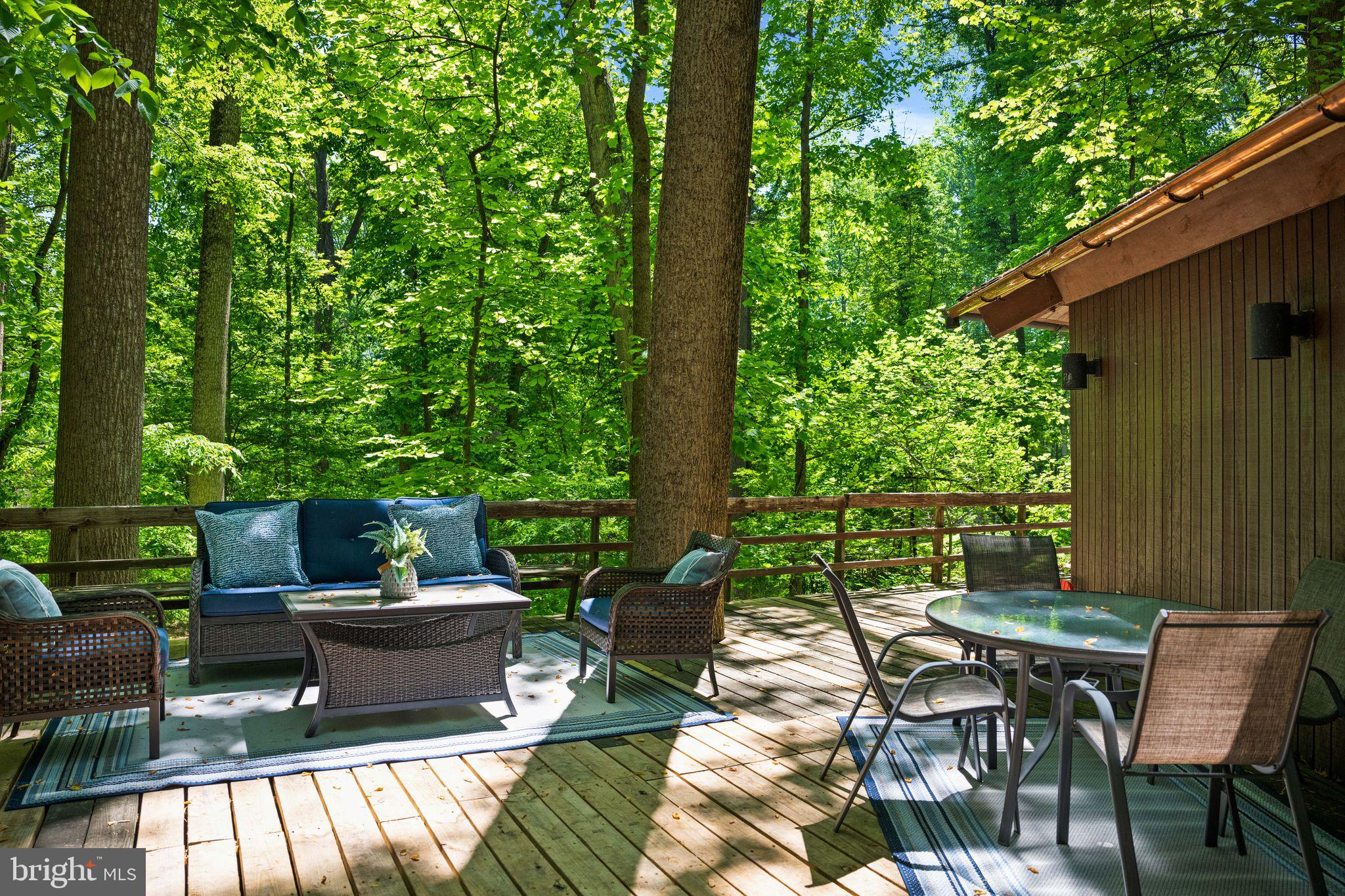 2707 Caves Road Owings Mills, MD 21117 - Photo 4 of 76