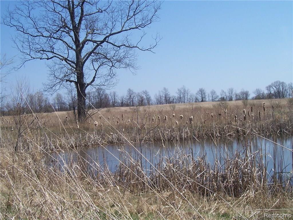 7 Byron Howell, MI 48855 - Photo 2 of 3